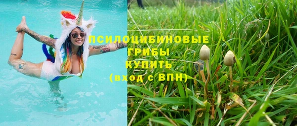 соль ск Абаза