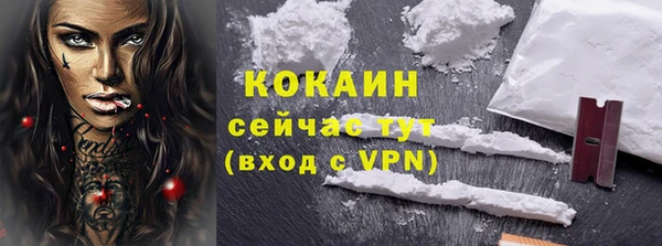 соль ск Абаза