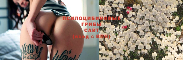 гидра Абдулино