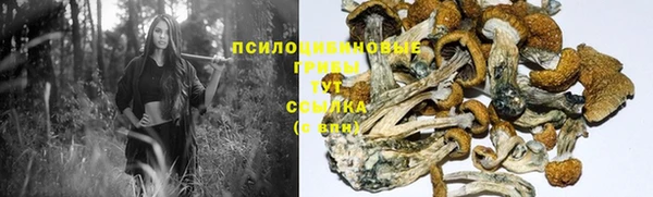 гидра Абдулино