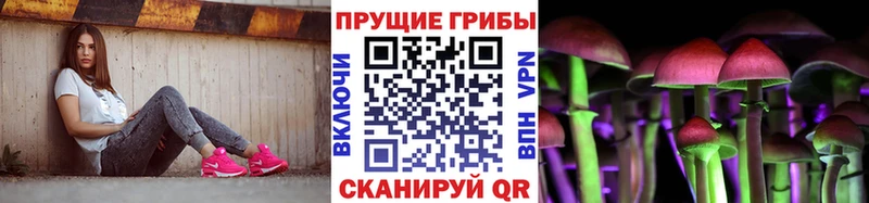 Галлюциногенные грибы Psilocybe  купить  сайты  Серпухов 